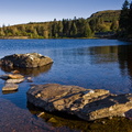 Loch Ordie (portrait)
